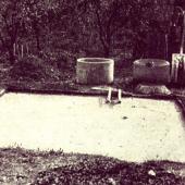 Kattintson a képre az új ablakban megnyíló eredeti felbontású fotóért.