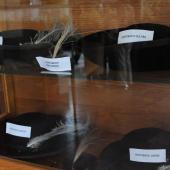 Kattintson a képre az új ablakban megnyíló eredeti felbontású fotóért.