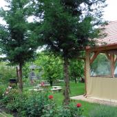 Kattintson a képre az új ablakban megnyíló eredeti felbontású fotóért.