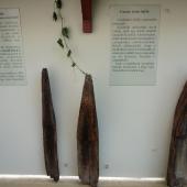 Kattintson a képre az új ablakban megnyíló eredeti felbontású fotóért.