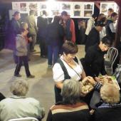 Kattintson a képre az új ablakban megnyíló eredeti felbontású fotóért.