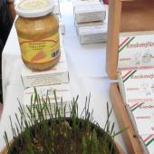 Kattintson a képre az új ablakban megnyíló eredeti felbontású fotóért.