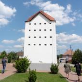 Kattintson a képre az új ablakban megnyíló eredeti felbontású fotóért.