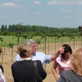 Kattintson a képre az új ablakban megnyíló eredeti felbontású fotóért.