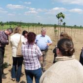 Kattintson a képre az új ablakban megnyíló eredeti felbontású fotóért.