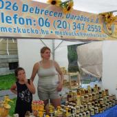 Kattintson a képre az új ablakban megnyíló eredeti felbontású fotóért.