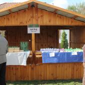 Kattintson a képre az új ablakban megnyíló eredeti felbontású fotóért.