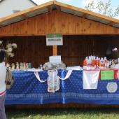 Kattintson a képre az új ablakban megnyíló eredeti felbontású fotóért.