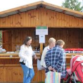 Kattintson a képre az új ablakban megnyíló eredeti felbontású fotóért.