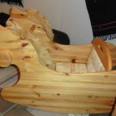 Kattintson a képre az új ablakban megnyíló eredeti felbontású fotóért.