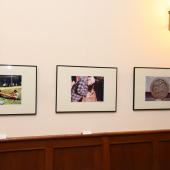 Kattintson a képre az új ablakban megnyíló eredeti felbontású fotóért.