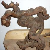 Kattintson a képre az új ablakban megnyíló eredeti felbontású fotóért.