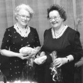 Kattintson a képre az új ablakban megnyíló eredeti felbontású fotóért.