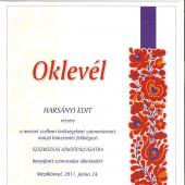 Kattintson a képre az új ablakban megnyíló eredeti felbontású fotóért.