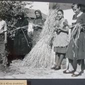 Kattintson a képre az új ablakban megnyíló eredeti felbontású fotóért.