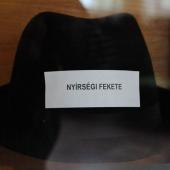 Kattintson a képre az új ablakban megnyíló eredeti felbontású fotóért.