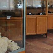 Kattintson a képre az új ablakban megnyíló eredeti felbontású fotóért.