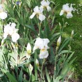 Kattintson a képre az új ablakban megnyíló eredeti felbontású fotóért.