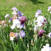 Kattintson a képre az új ablakban megnyíló eredeti felbontású fotóért.