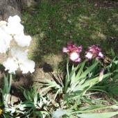 Kattintson a képre az új ablakban megnyíló eredeti felbontású fotóért.