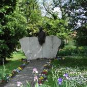 Kattintson a képre az új ablakban megnyíló eredeti felbontású fotóért.