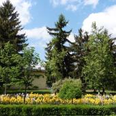 Kattintson a képre az új ablakban megnyíló eredeti felbontású fotóért.