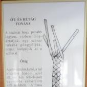 Kattintson a képre az új ablakban megnyíló eredeti felbontású fotóért.