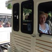 Kattintson a képre az új ablakban megnyíló eredeti felbontású fotóért.