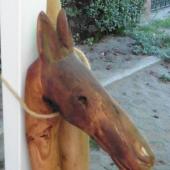 Kattintson a képre az új ablakban megnyíló eredeti felbontású fotóért.