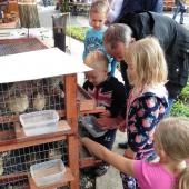 Kattintson a képre az új ablakban megnyíló eredeti felbontású fotóért.