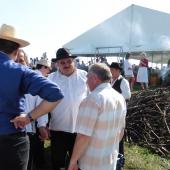 Kattintson a képre az új ablakban megnyíló eredeti felbontású fotóért.