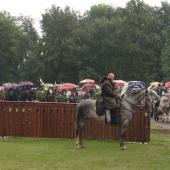 Kattintson a képre az új ablakban megnyíló eredeti felbontású fotóért.
