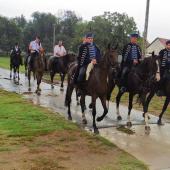Kattintson a képre az új ablakban megnyíló eredeti felbontású fotóért.