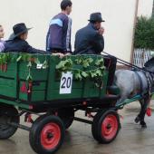Kattintson a képre az új ablakban megnyíló eredeti felbontású fotóért.