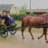 Kattintson a képre az új ablakban megnyíló eredeti felbontású fotóért.