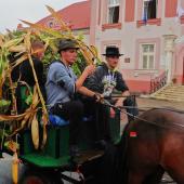 Kattintson a képre az új ablakban megnyíló eredeti felbontású fotóért.