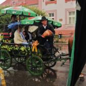 Kattintson a képre az új ablakban megnyíló eredeti felbontású fotóért.