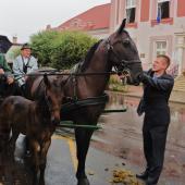Kattintson a képre az új ablakban megnyíló eredeti felbontású fotóért.