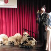 Kattintson a képre az új ablakban megnyíló eredeti felbontású fotóért.