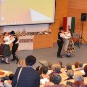 Kattintson a képre az új ablakban megnyíló eredeti felbontású fotóért.