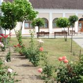 Kattintson a képre az új ablakban megnyíló eredeti felbontású fotóért.