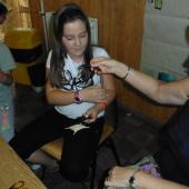 Kattintson a képre az új ablakban megnyíló eredeti felbontású fotóért.