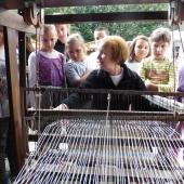 Kattintson a képre az új ablakban megnyíló eredeti felbontású fotóért.