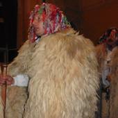 Kattintson a képre az új ablakban megnyíló eredeti felbontású fotóért.