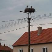 Kattintson a képre az új ablakban megnyíló eredeti felbontású fotóért.