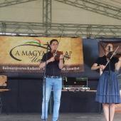 Kattintson a képre az új ablakban megnyíló eredeti felbontású fotóért.