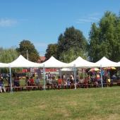 Kattintson a képre az új ablakban megnyíló eredeti felbontású fotóért.