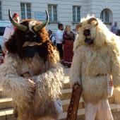 Kattintson a képre az új ablakban megnyíló eredeti felbontású fotóért.