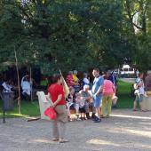 Kattintson a képre az új ablakban megnyíló eredeti felbontású fotóért.