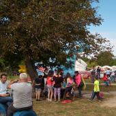 Kattintson a képre az új ablakban megnyíló eredeti felbontású fotóért.